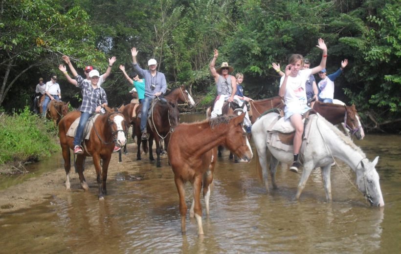 Coral Coast Beach Horse Riding Tour